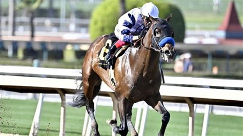 2024 Saudi Cup predictions, odds, post time, contenders: .